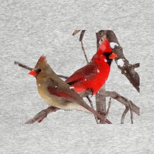 Cardinals T-Shirt